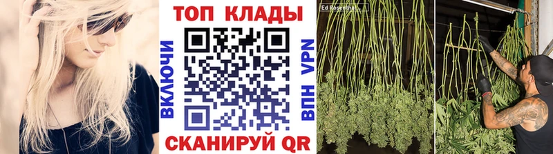Магазины продажи наркотиков Куртамыш ГАШ  Канабис  Alpha-PVP  Меф мяу мяу  КОКАИН 