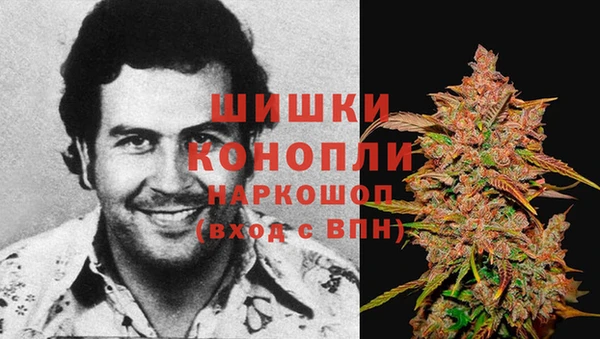 гидра Алексеевка