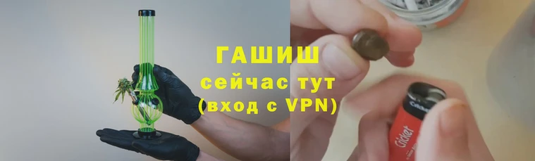 гидра Алексеевка