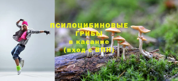 гидра Алексеевка