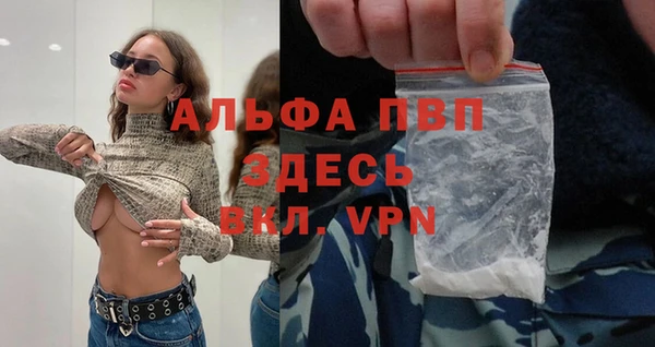 хмурый Нея